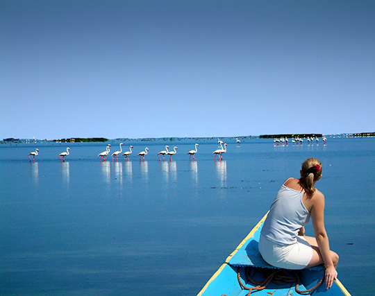 Night Camping in Chilika